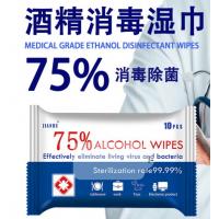 75% 酒精濕巾 殺菌免洗酒精濕紙巾 10片包裝