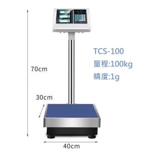 FAX-88 TCS-100 100KG 座地電子磅 精度1g 數件磅 計價磅 內置電池可儲電